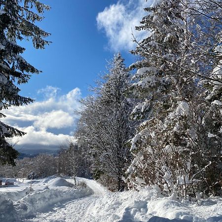 Pine Lodge Hlevci Dış mekan fotoğraf