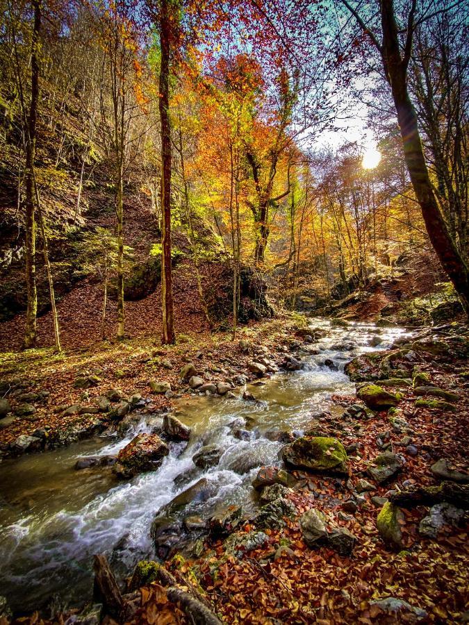 Pine Lodge Hlevci Dış mekan fotoğraf