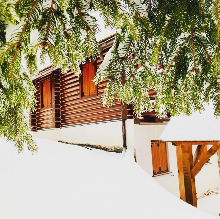 Pine Lodge Hlevci Dış mekan fotoğraf