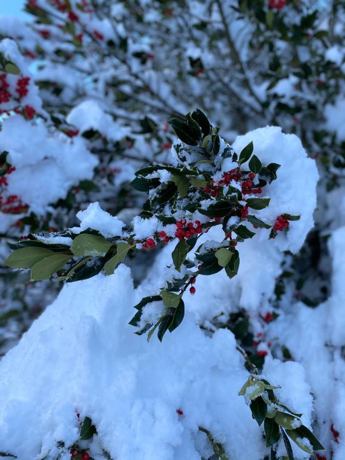 Pine Lodge Hlevci Dış mekan fotoğraf