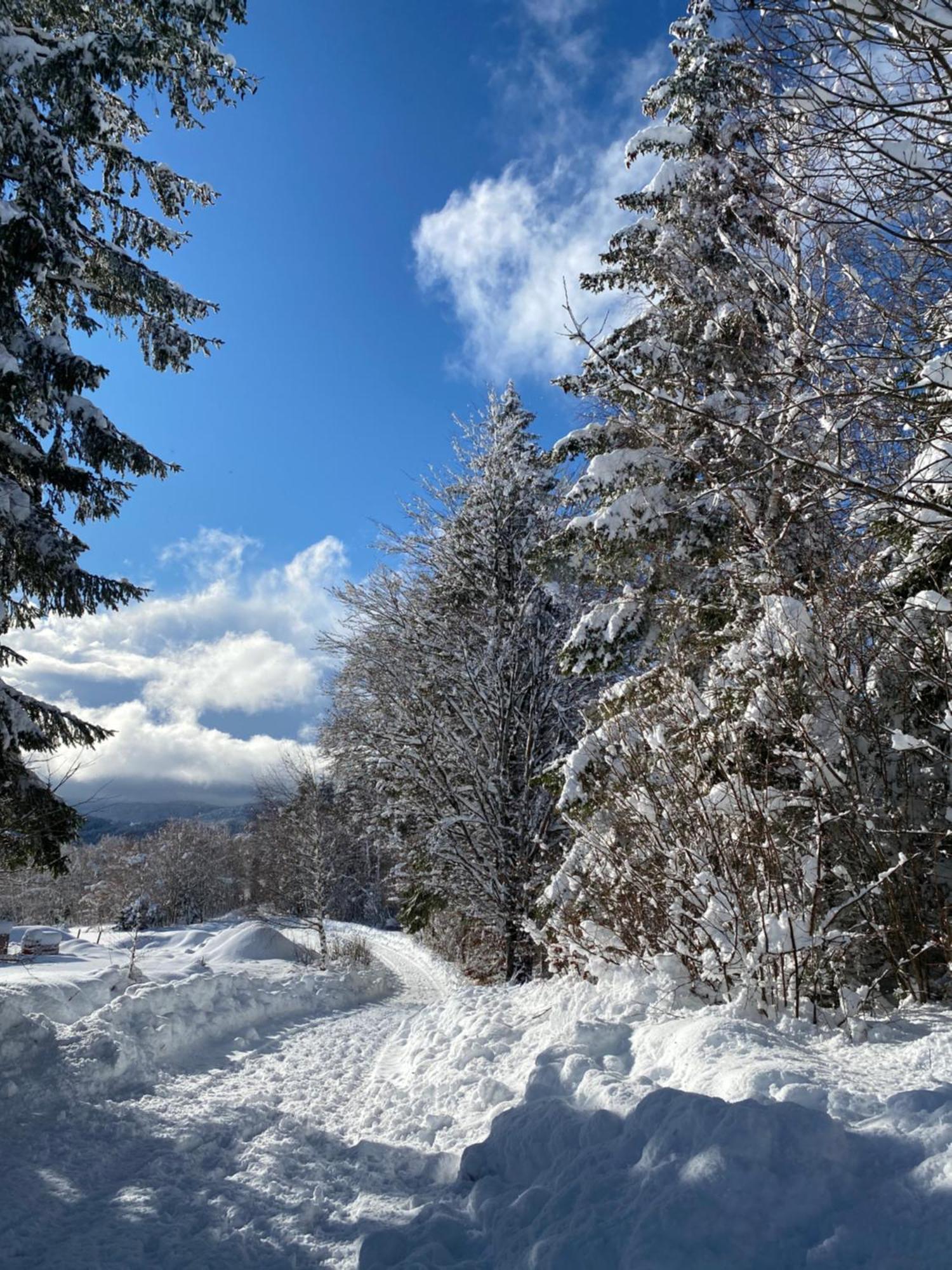 Pine Lodge Hlevci Dış mekan fotoğraf