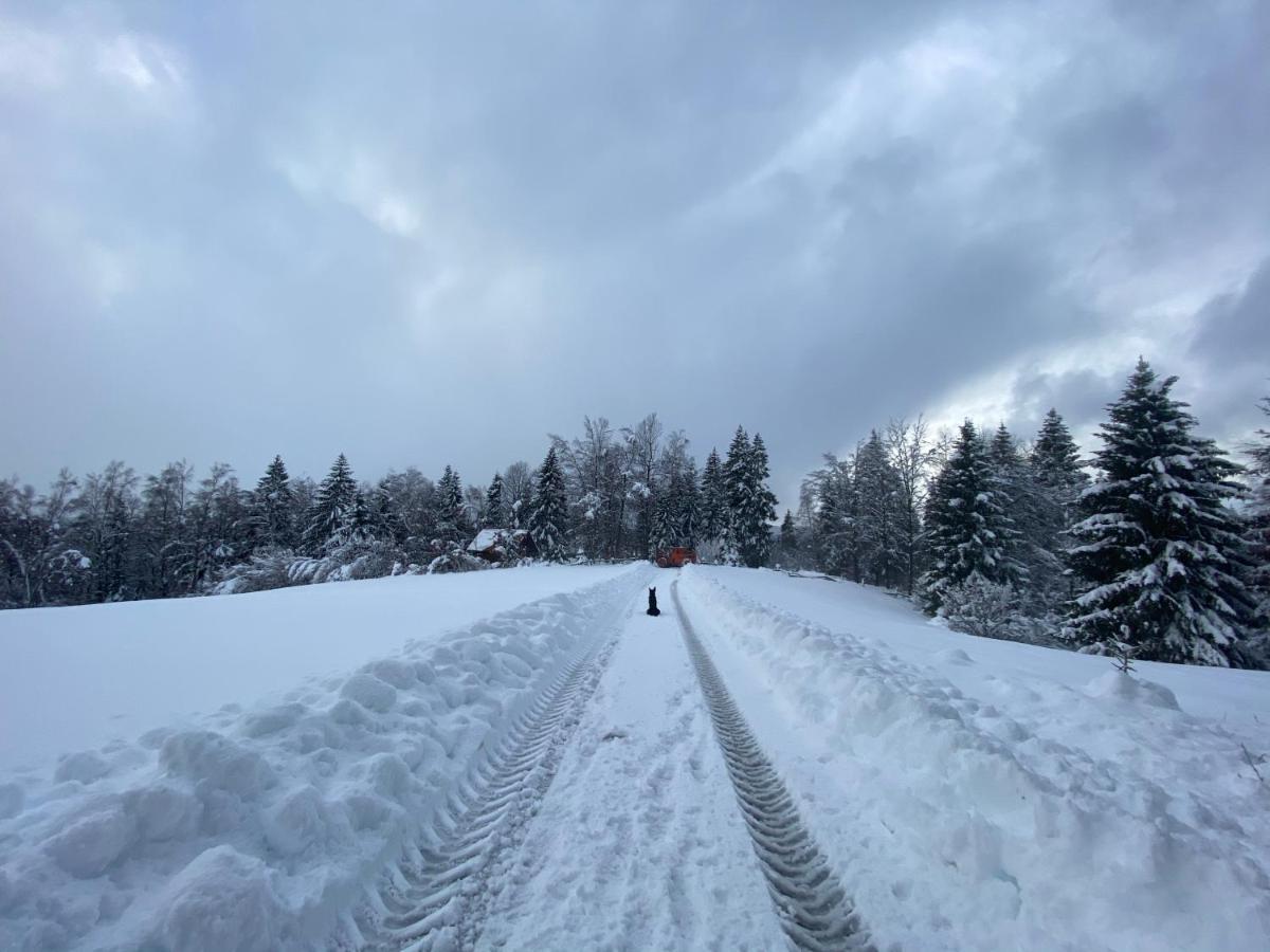 Pine Lodge Hlevci Dış mekan fotoğraf
